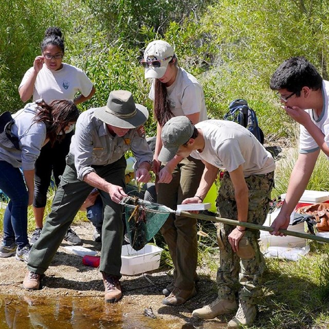 a group of young citizen scientists stand on a riverbank look at something in a net