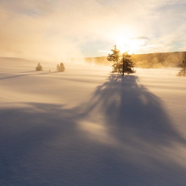 a sunrise over a field of snow 