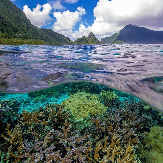 a split image showing a colorful underwater coral reef below and island mountain peaks above