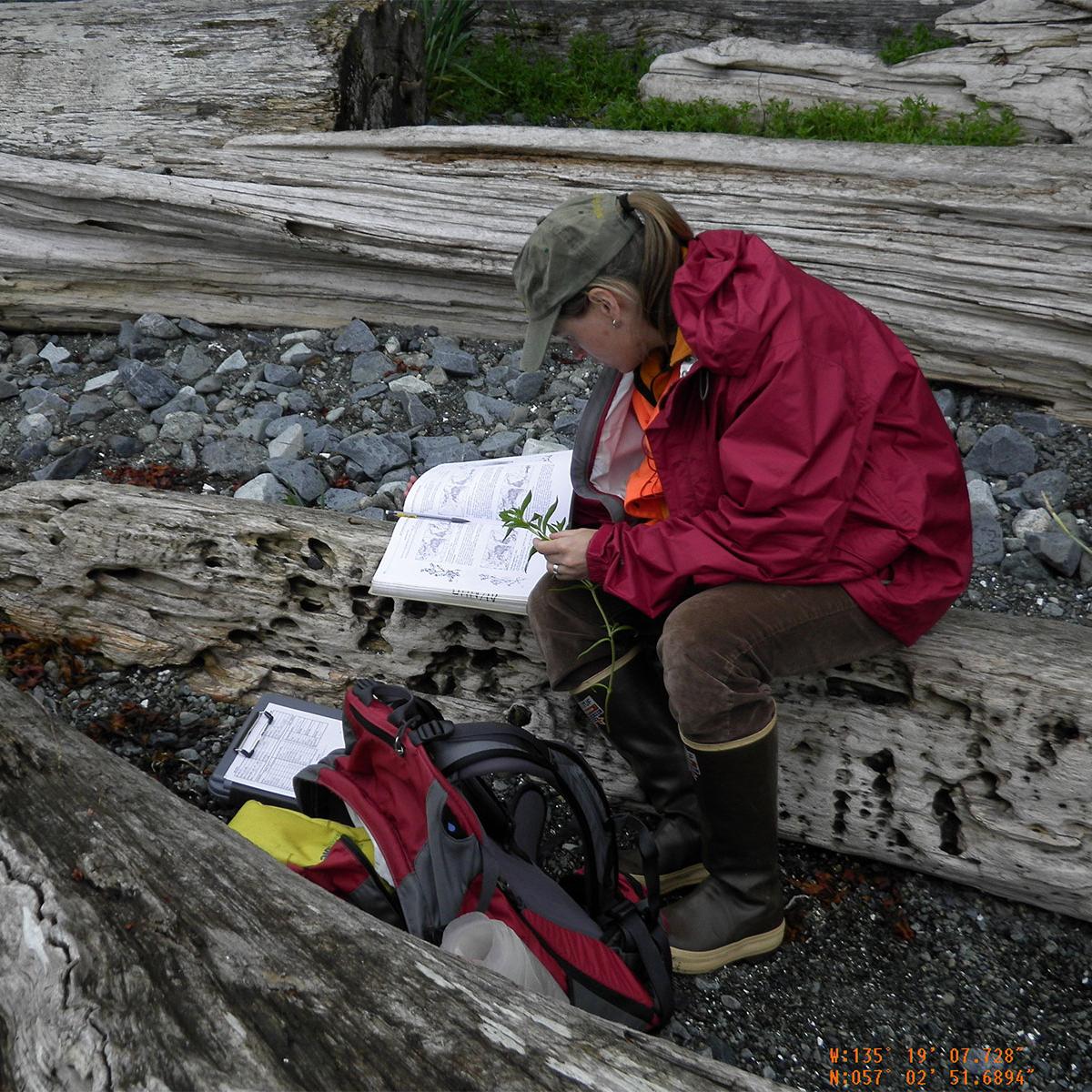 Plant id for Sitka National Historical Park Landcover Map