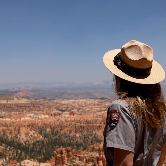 a ranger overlooks bryce canyon