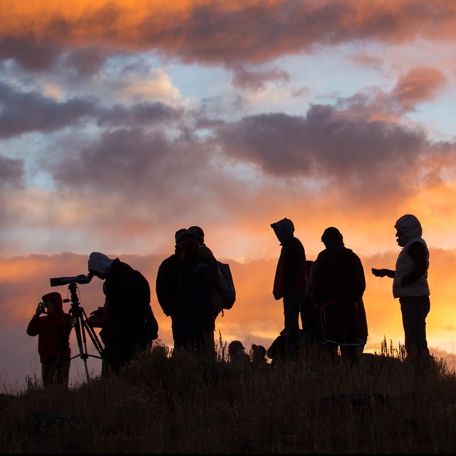 silhouettes of people with spotting scopes watching wildlife at sunrise
