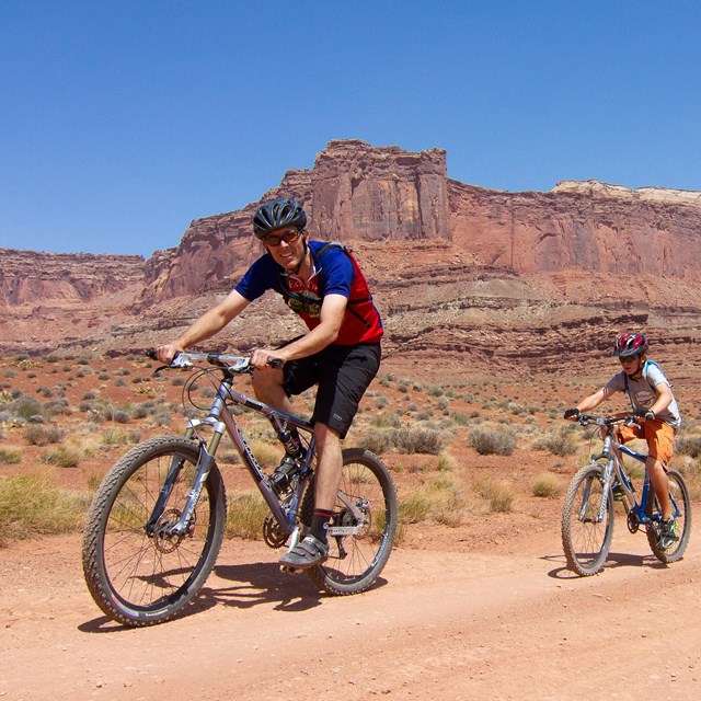 a group of mountain bikers ride on a desert trail