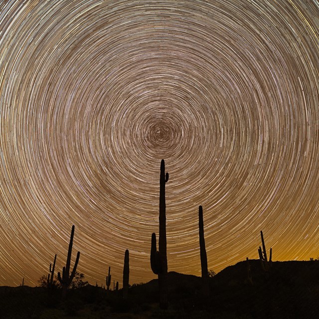 circular star trails paint the night sky with silhouettes of cacti in the foreground