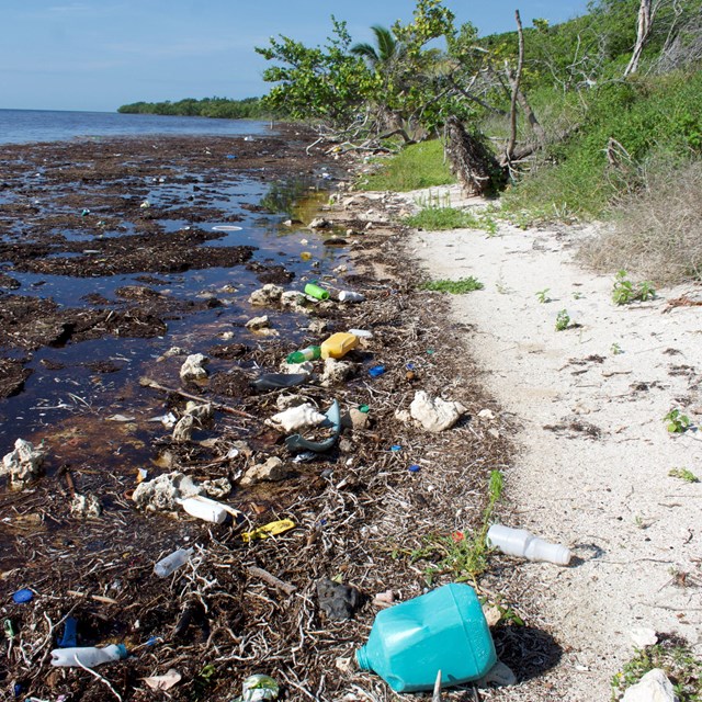 plastic debris litters a shoreline