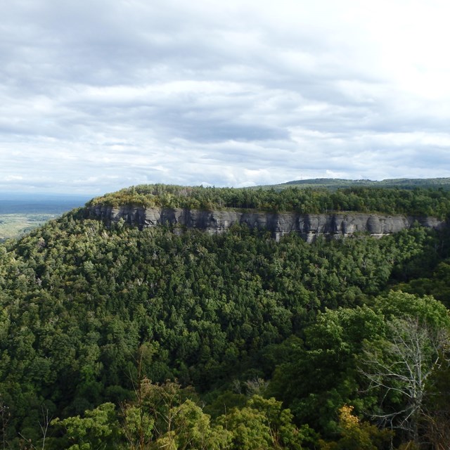 a forested hill with a rock escarpment