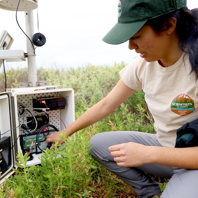 a young woman adjusts wiring in a scientific monitoring device