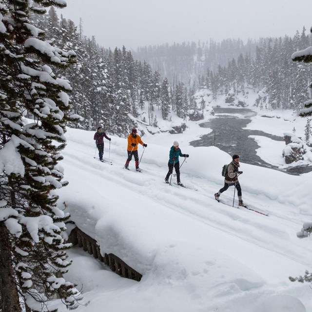 four cross country skiers cross a bridge over a partially frozen river in a snowy forest