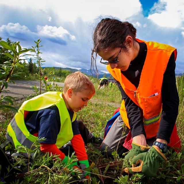 two people wearing safety vests kneel on the ground removing weeds