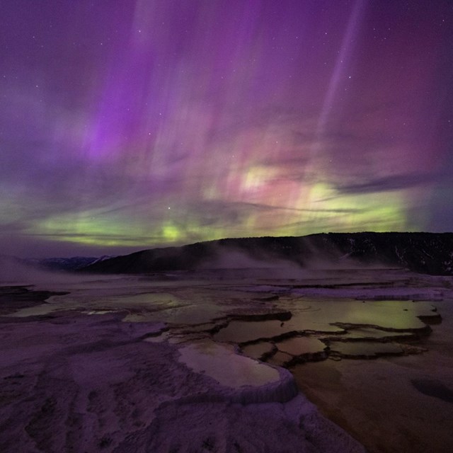 purples and greens of the northern lights above a hydrothermal feature at night