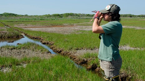 a member of the salt marsh crew checks salinity of a water sample