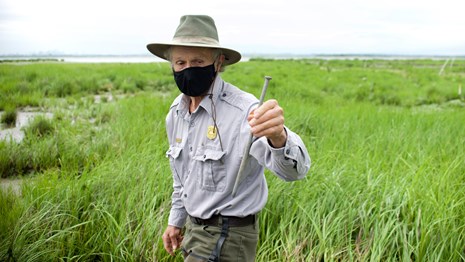 A park scientist holds up a long 8in nail