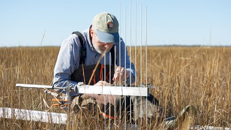 A park scientist writes numbers with a black marker on a long white pole