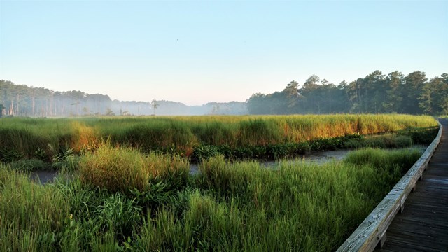 Salt marsh at Colonial National Historical Park