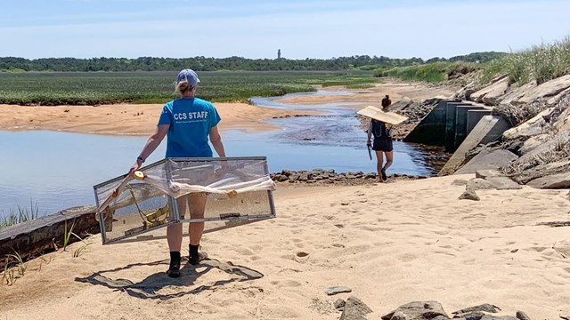 Two field crew members carrying square-framed nets walk into the distance on a sandy beach