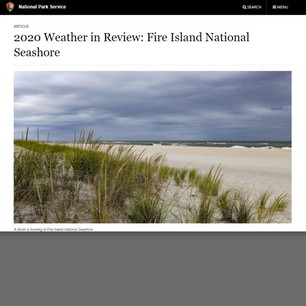 Grey cloudy skies, sandy beach with green grasses growing in the foreground
