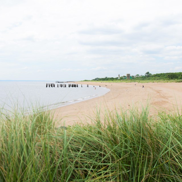 A beach arcs into the background behind foreground vegetation