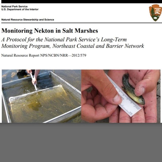 Screenshot of protocol cover page