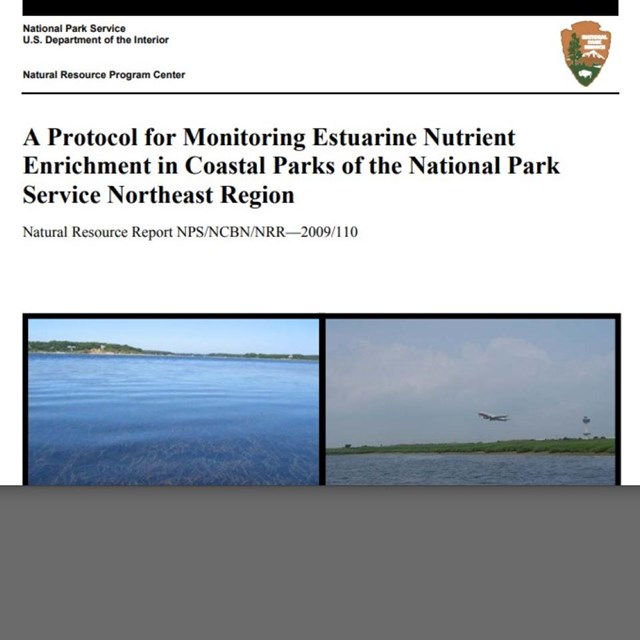 Screenshot of protocol cover page