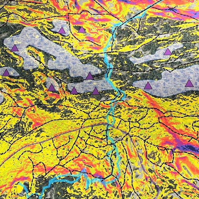 Closeup of a vibrant map with areas of yellow, purple triangle markers and a light blue river