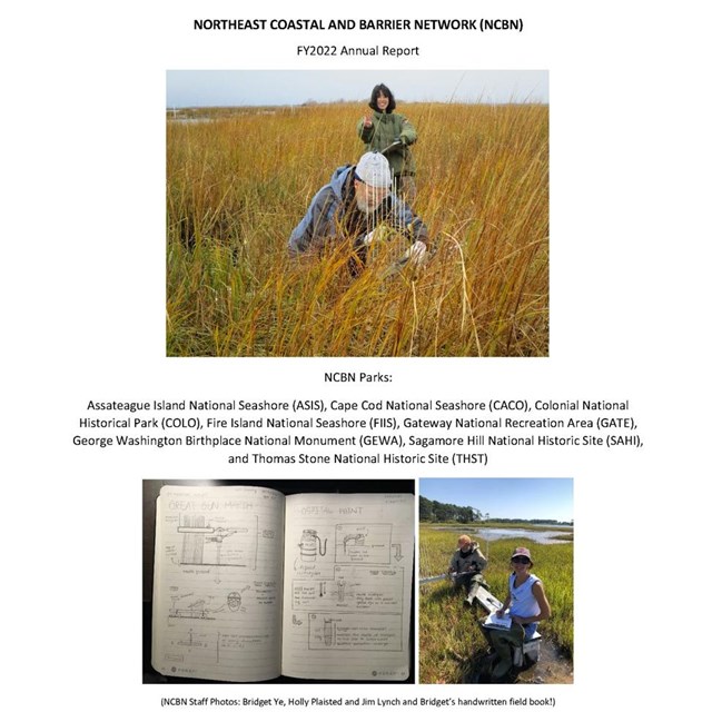 Screenshot of report with title and intro text with an image of staff in salt marshes and a notebook
