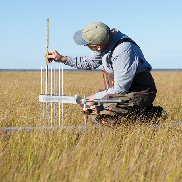 Scientist standing next to elevation-measuring equipment in a salt marsh