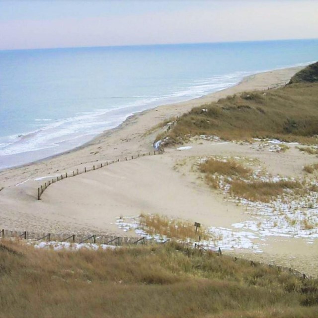 Aerial view of a beach with patches of snow beneath vegetated areas