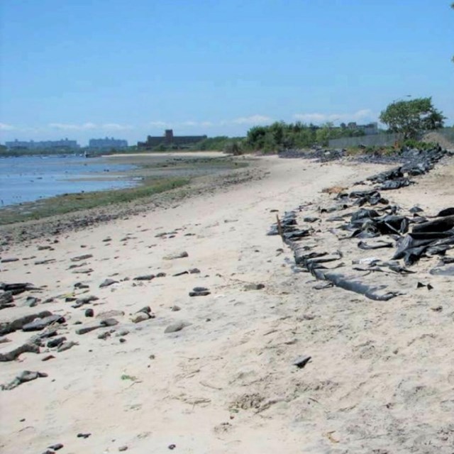Sandy beach with a dune rising into the top left corner. A wooden fence lines the base of the dune.