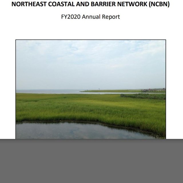 Screenshot of 2020 annual report cover page