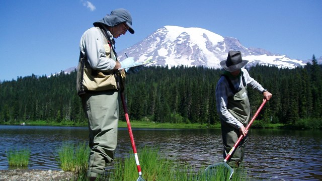 two people collecting amphibians near a lake