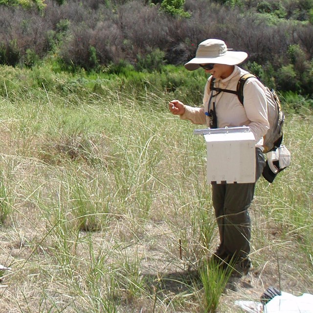 Person standing in grass with open binder