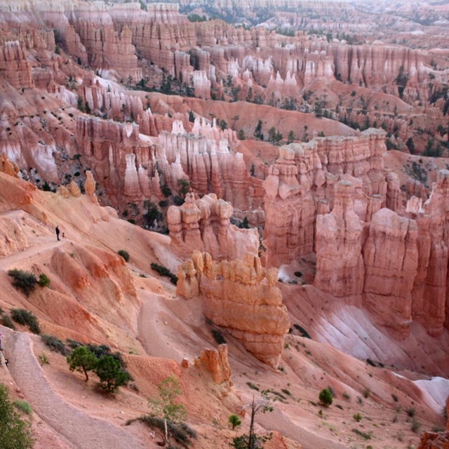 Amphitheater of red rock hoodoos