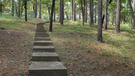 Gum Springs Picnic Area, Winnfield, La.