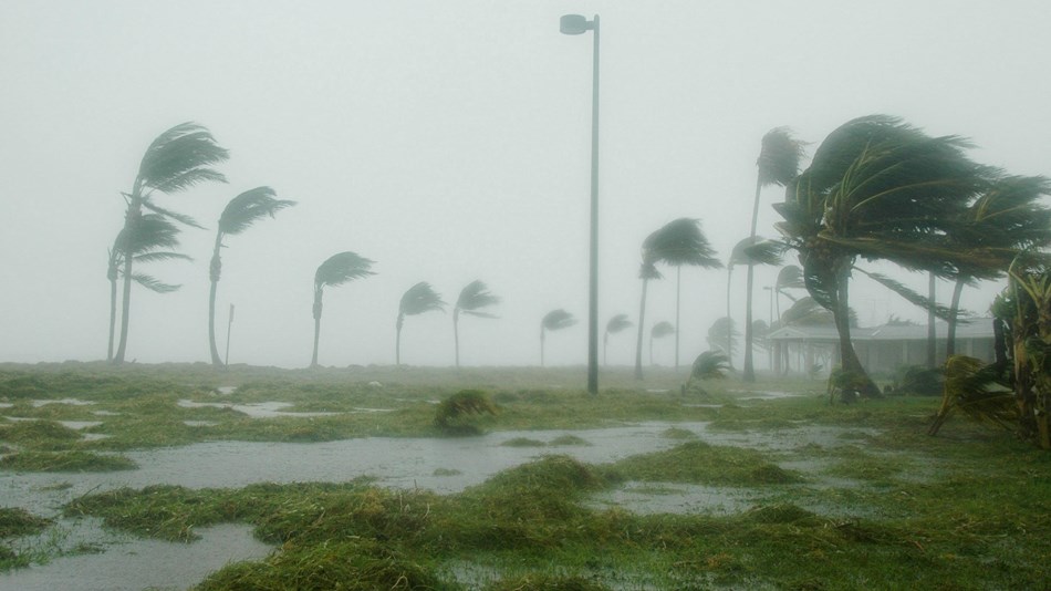 Disaster Preparedness for Culutral Resources