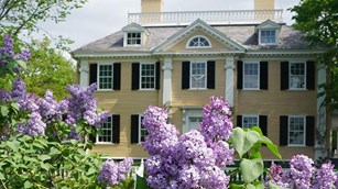 Well-kept shrubs in front of a yellow two story historic house.