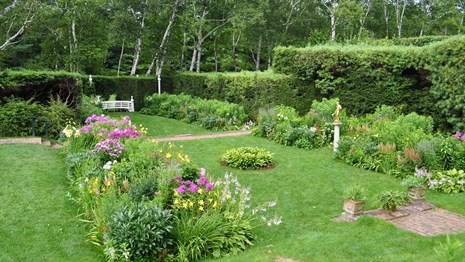 Short grass separates rectangular planting beds with blooming perennial flower.