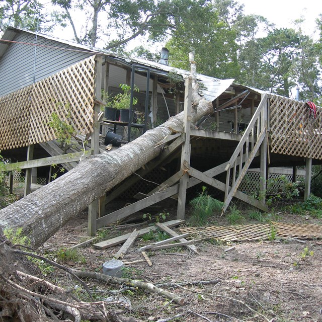 Damage from Hurricane Ike that struck Big Thicket National Preserve