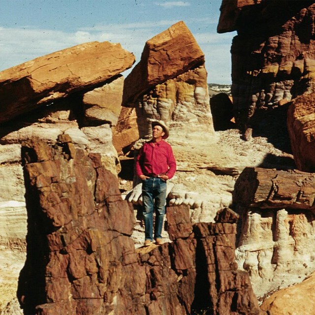 Man in red shirt standing on rocks