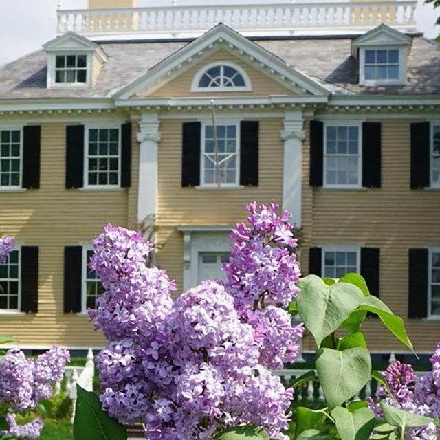 Well-kept shrubs in front of a yellow two story historic house.