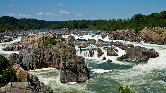 The green waters of the Potomac crash through Great Falls rocks.