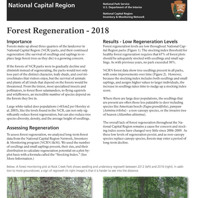A resource brief with images of forest plot regeneration