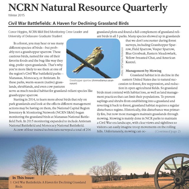 A newsletter cover showing a singing bird