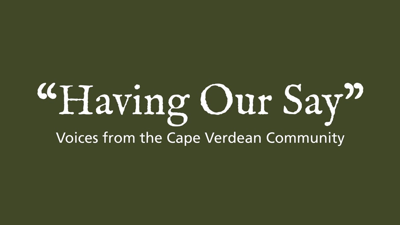 Green background with white text saying Having Our Say