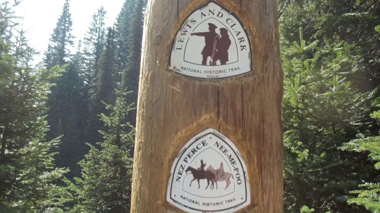 A tree with two trail markers, the Nez Perce National Trail and the Lewis and Clark Trail.