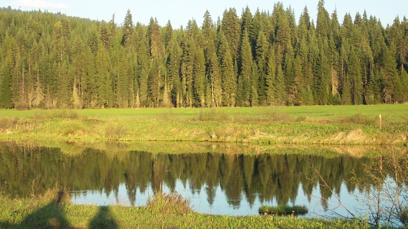 A small lake surrounded by meadows and trees in the distance.