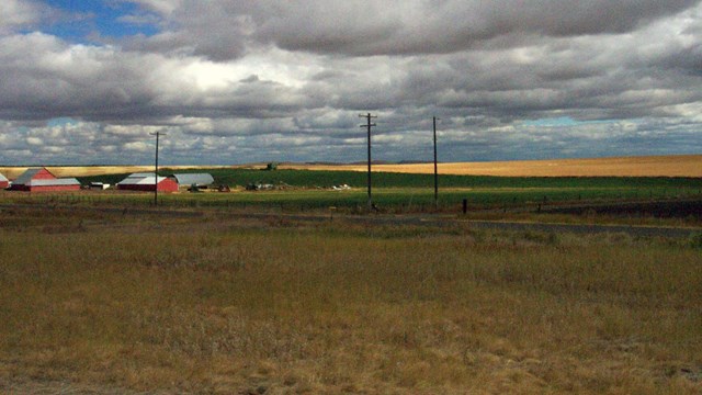 Two signs and a monument in the shape of Idaho on the side of the road.