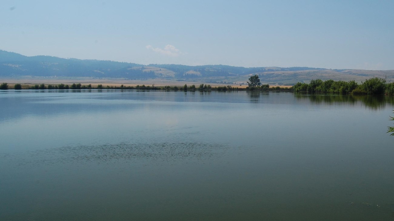 A lake on a sunny day.