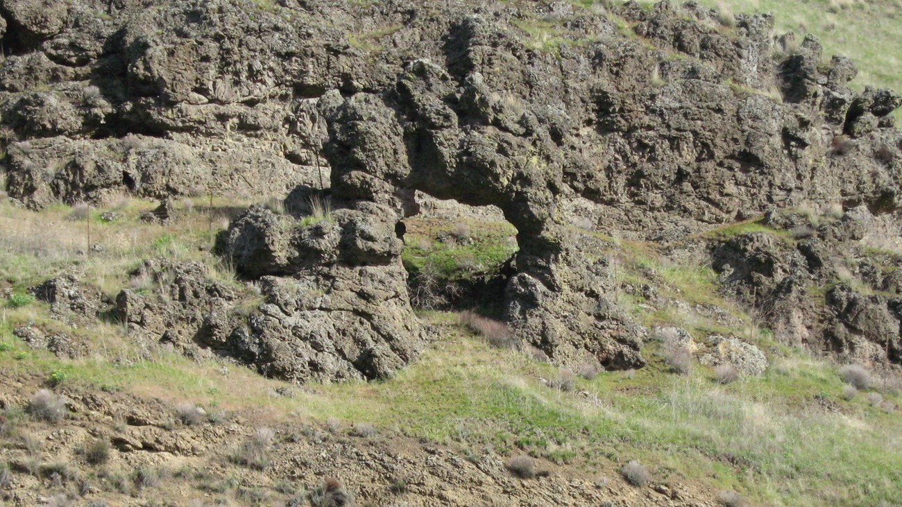 Basaltic rock formation in the shape of an ant and a yellowjacket fighting. 