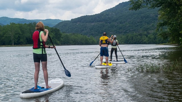 Stand up paddle boarders on the river