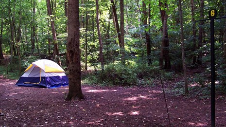 tent and campsite
